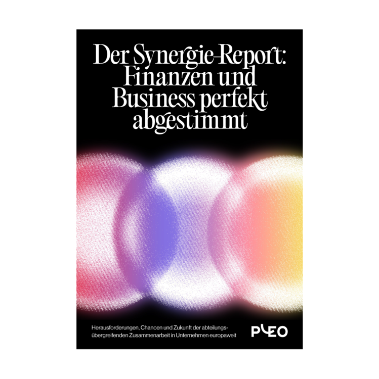 Synergy Reporting Der Synergie-Report: Finanzen und Business perfekt abgestimmt