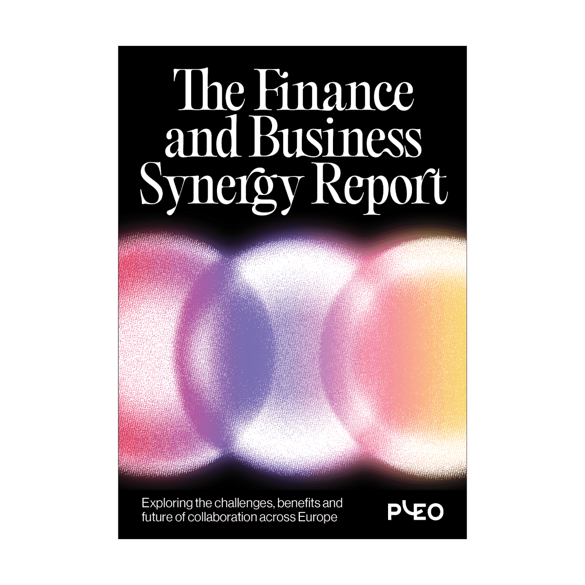 The Finance and Business Synergy Report